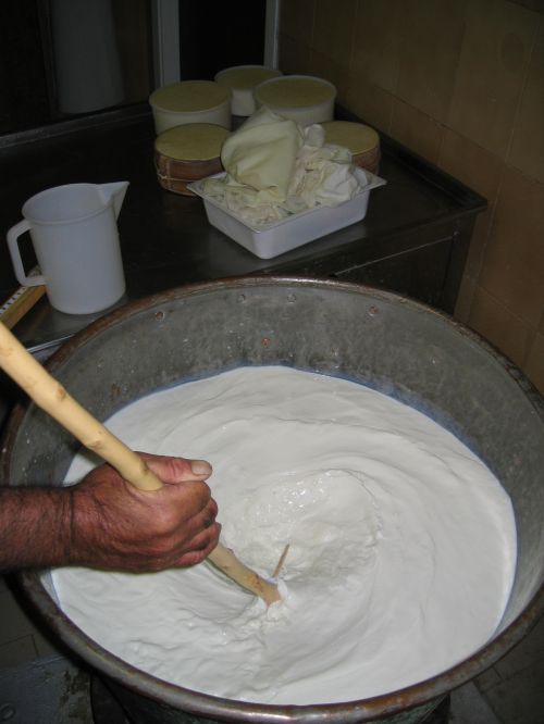 scuola di formaggio-2.JPG